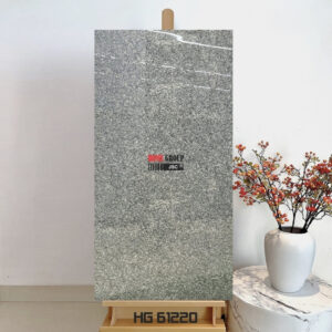 Gạch 60x120 HG61220 Đà Nẵng