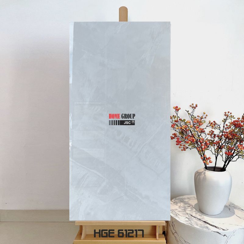 Gạch 60x120 HGE 61217