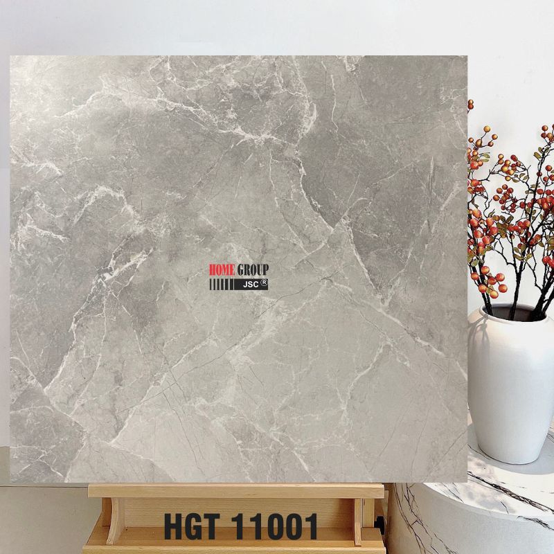 Gạch 100x100 HGT11001