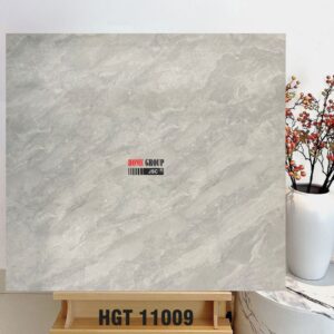 Gạch 100x100 HGT11009