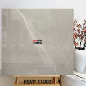 Gạch 100x100 HGVP11002