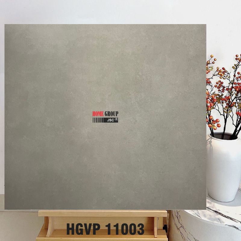 Gạch 100x100 HGVP11003