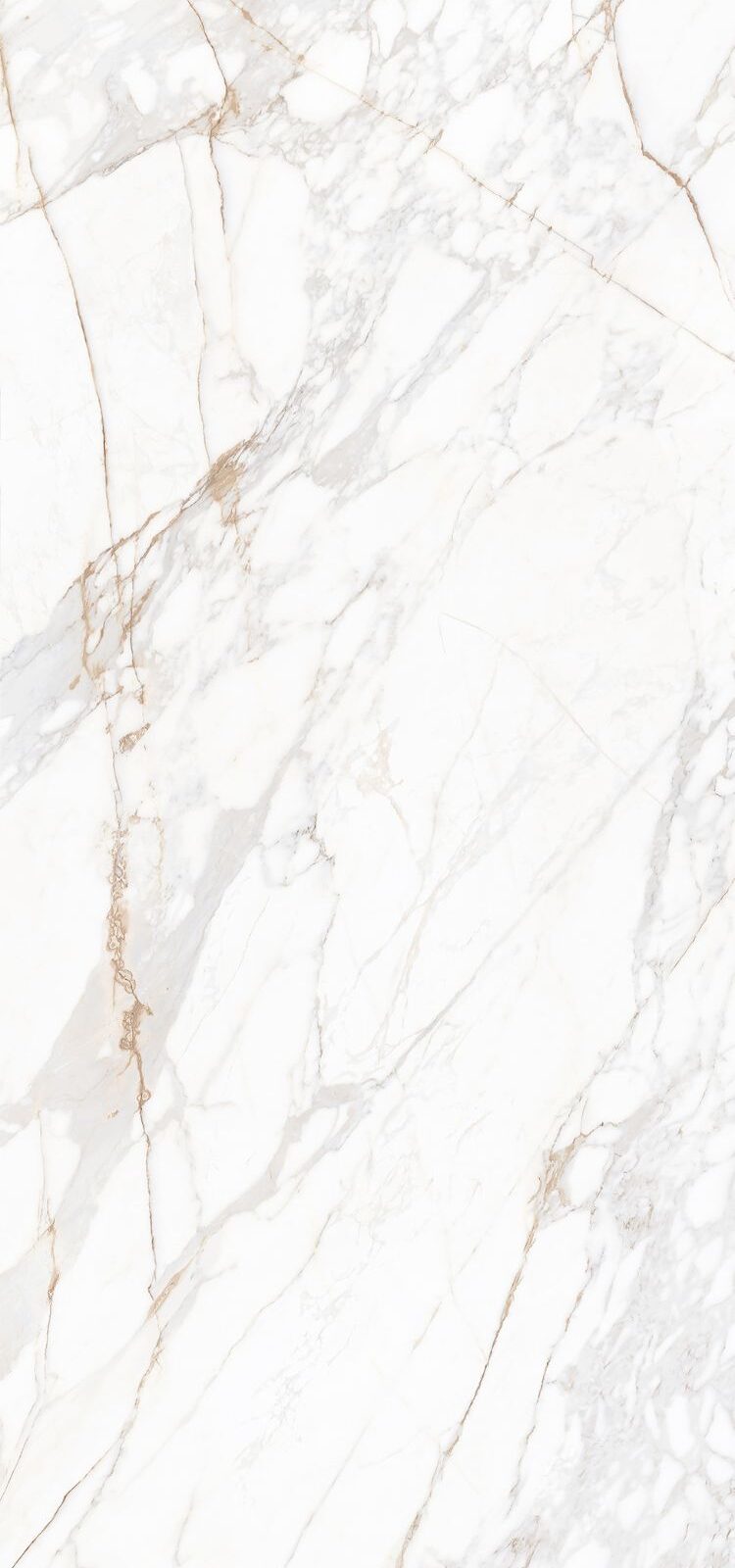 Gạch 1200x2400 HGE122401