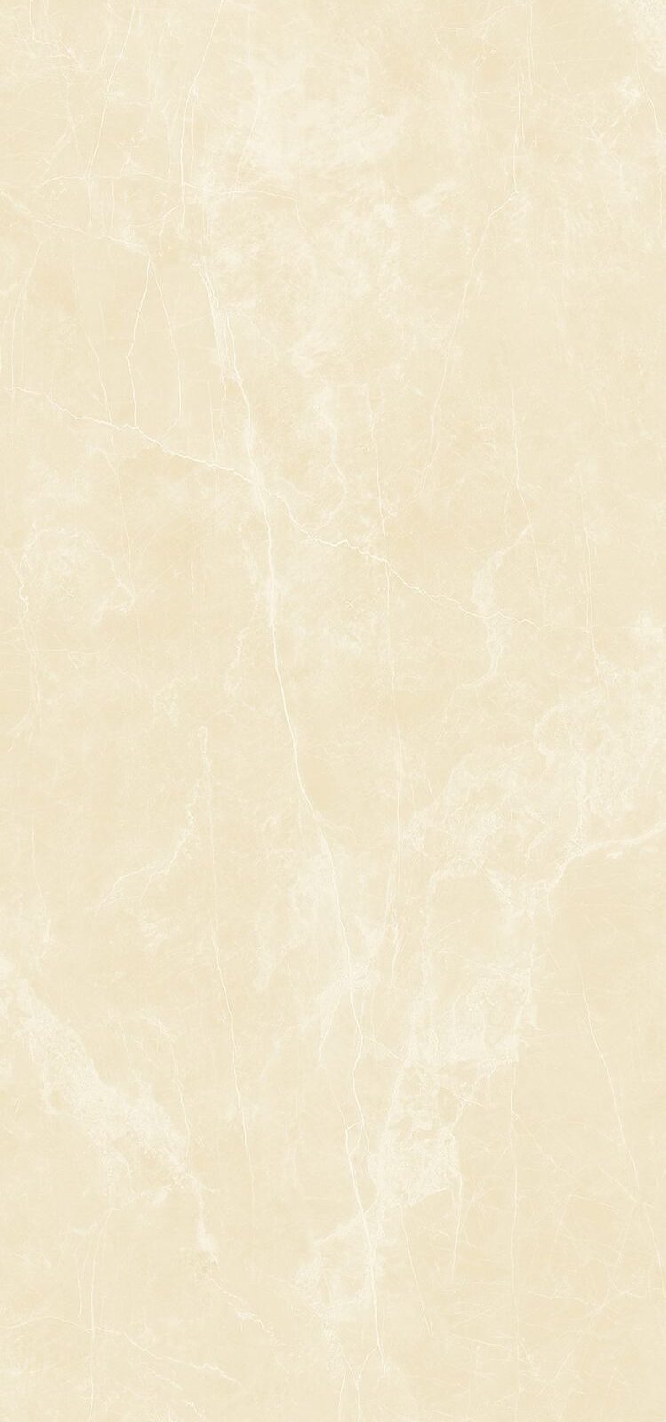 Gạch 1200x2400 HGE122402
