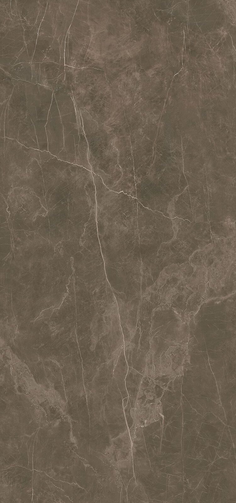Gạch 1200x2400 HGE122405