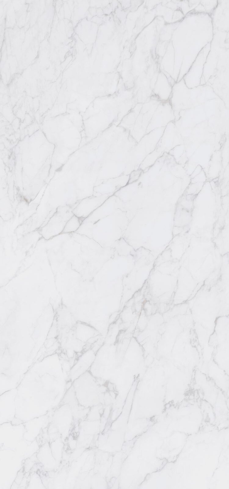 Gạch 1200x2400 HGE122408