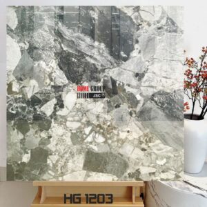 Gạch 120x120 HG1203