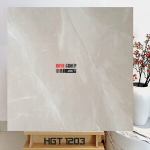 Gạch 120x120 HGT1203