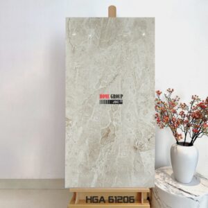 Gạch 60x120 HGA61206 Đà Nẵng