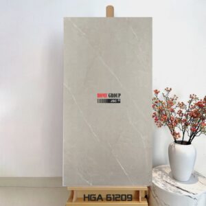 Gạch 60x120 HGA61209 Đà Nẵng