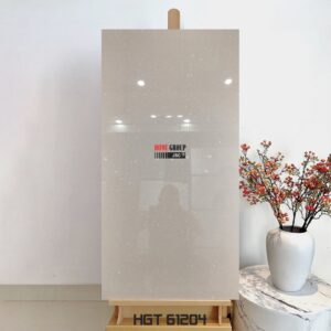 Gạch 60x120 HGT61204 Đà Nẵng