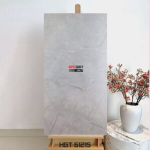 Gạch 60x120 HGT61215 Đà Nẵng