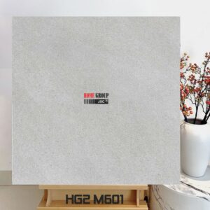 Gạch 60x60 HG2M601