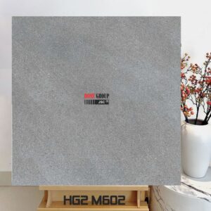Gạch 60x60 HG2M602