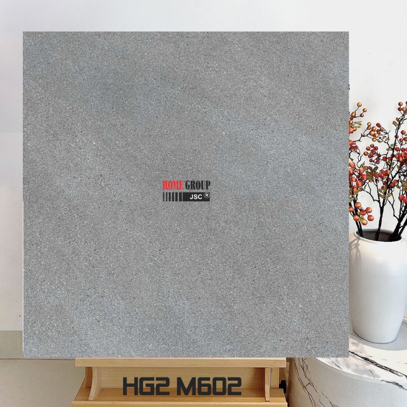 Gạch 60x60 HG2M602