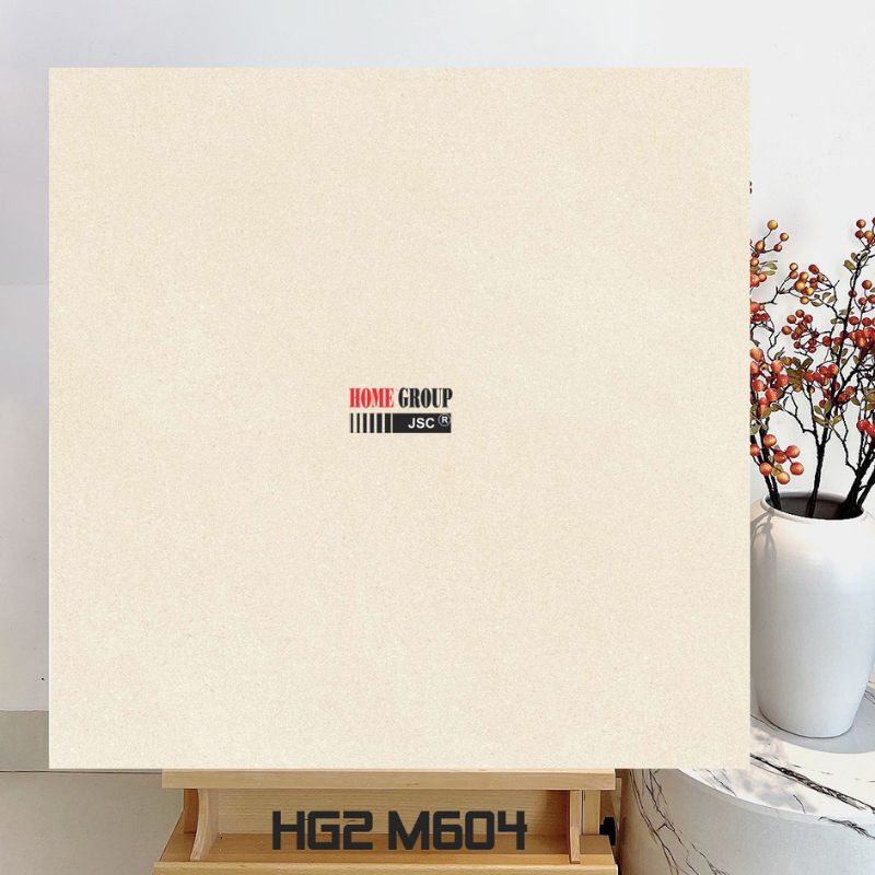 Gạch 60x60 HG2M604