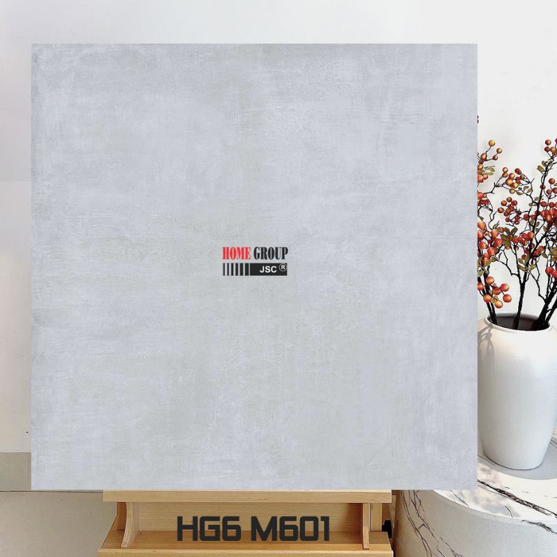 Gạch 60x60 HG6M601
