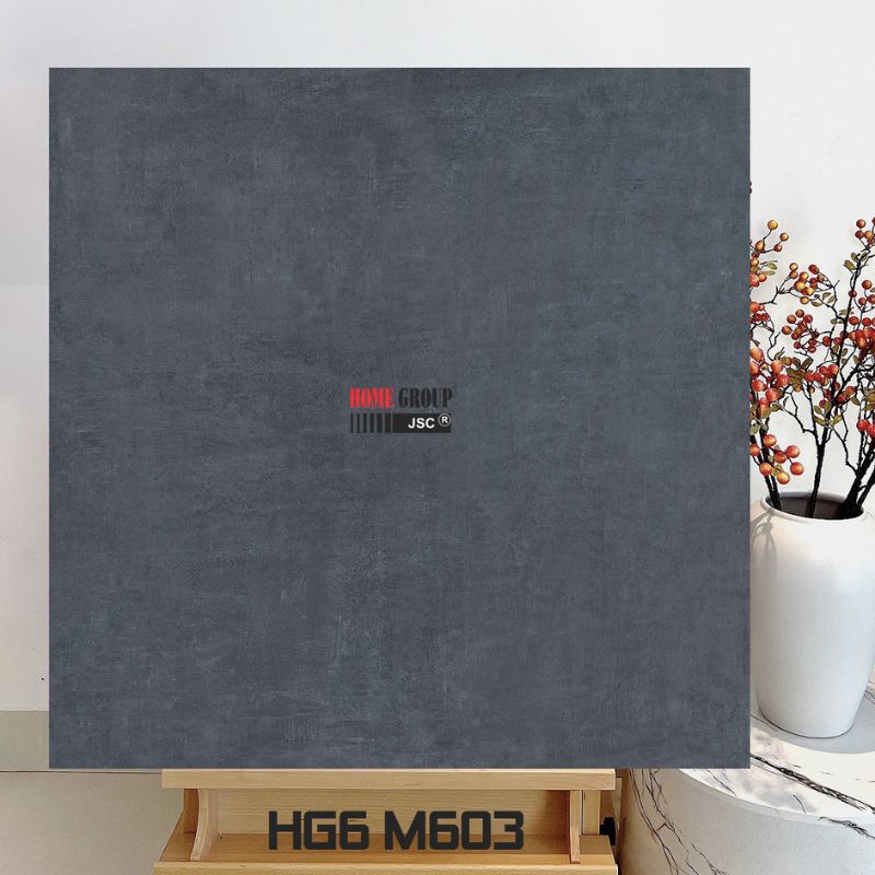 Gạch 60x60 HG6M603