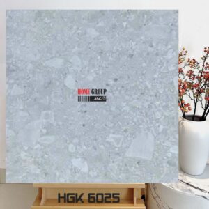 Gạch 60x60 HGK6025