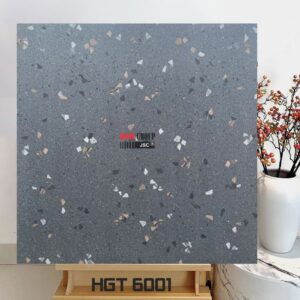 Gạch 60x60 HGT6001