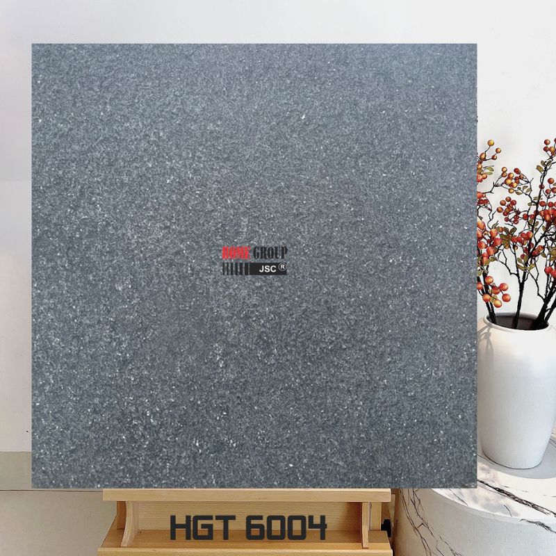 Gạch 60x60 HGT6004
