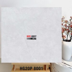 Gạch 80x80 HG20P8001