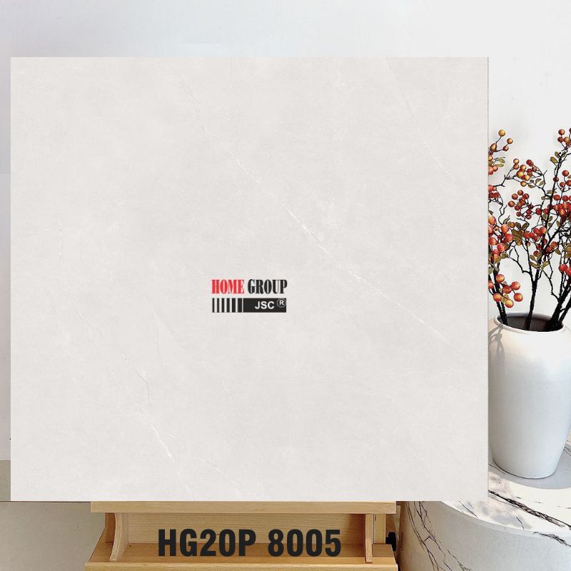 Gạch 80x80 HG20P8005