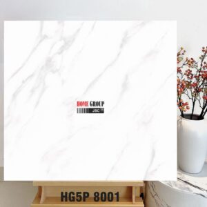 Gạch 80x80 HG5P8001