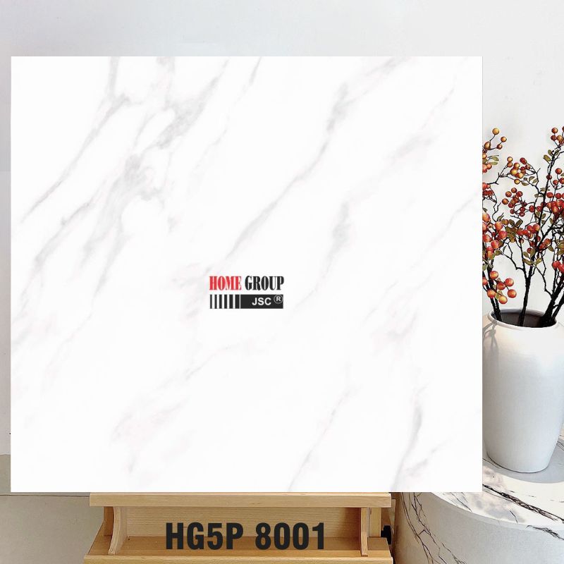 Gạch 80x80 HG5P8001