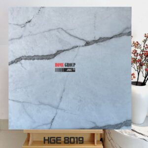 Gạch 80x80 HGE8019