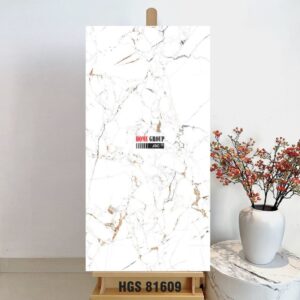Gạch 80x160 HGS81609