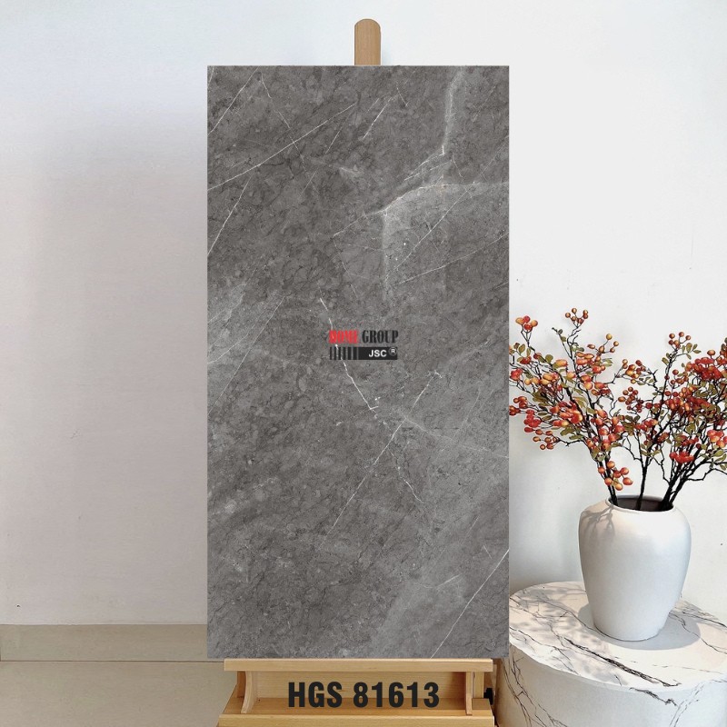 Gạch 80x160 HGS81613