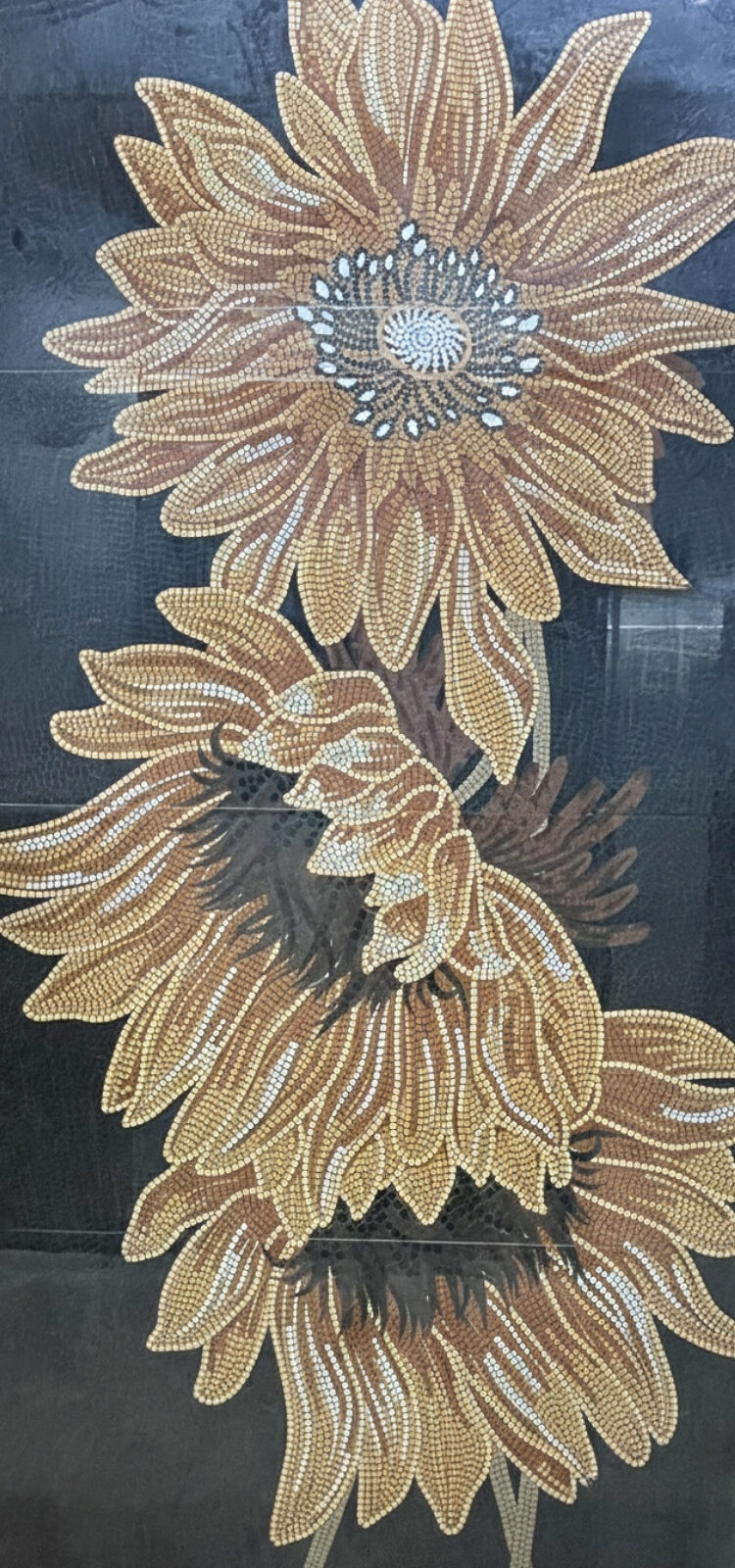 Gạch 1200×2400 HG122404