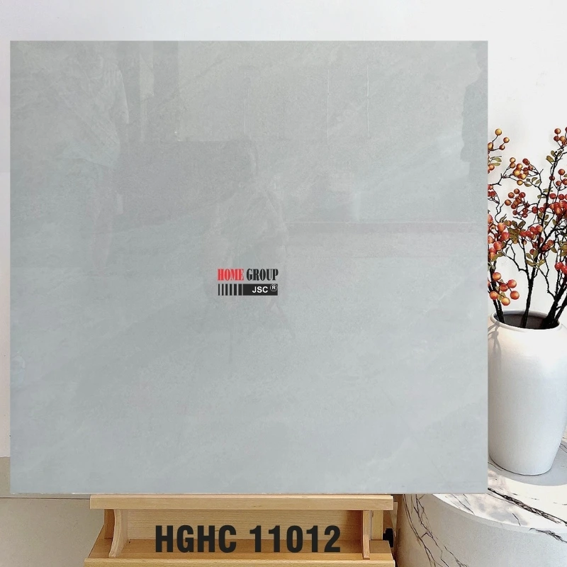 Gạch 100x100 HGHC11012
